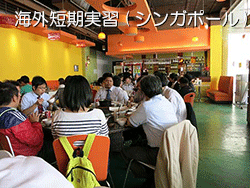 �C�O�Z�����K(�V���K�|�[��)