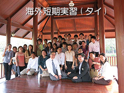 �C�O�Z�����K�i�^�C�j