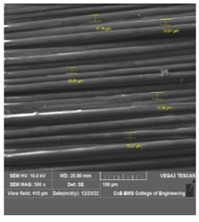 Figure 2(d)