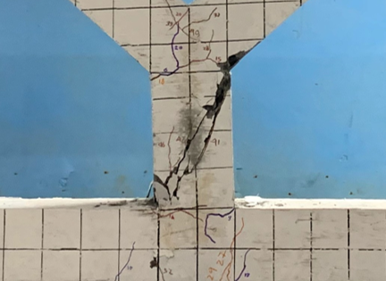 Figure 9(b)