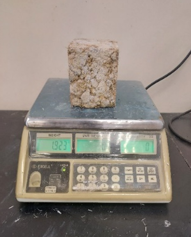 Figure 3(b)