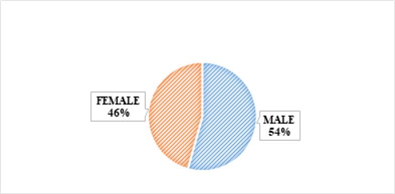Figure 1(a)