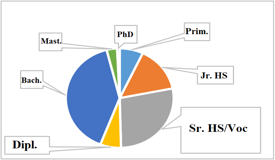 Figure 1(c)