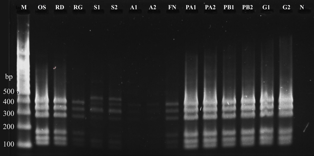 Figure 4